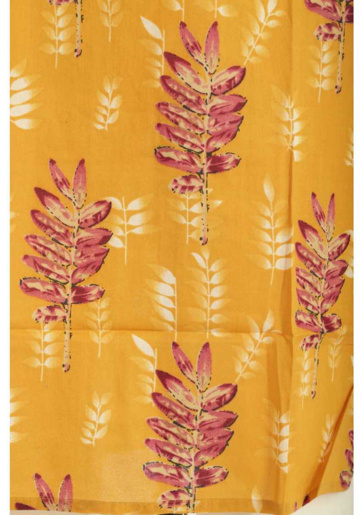 Raimunia Kurta