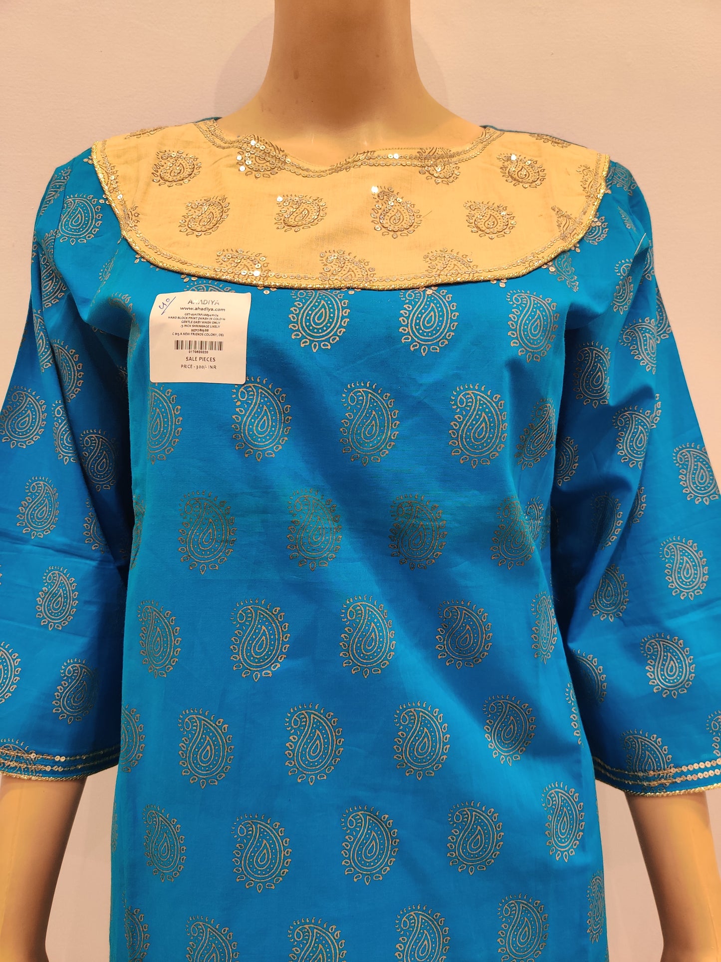 Brachyscome Kurti