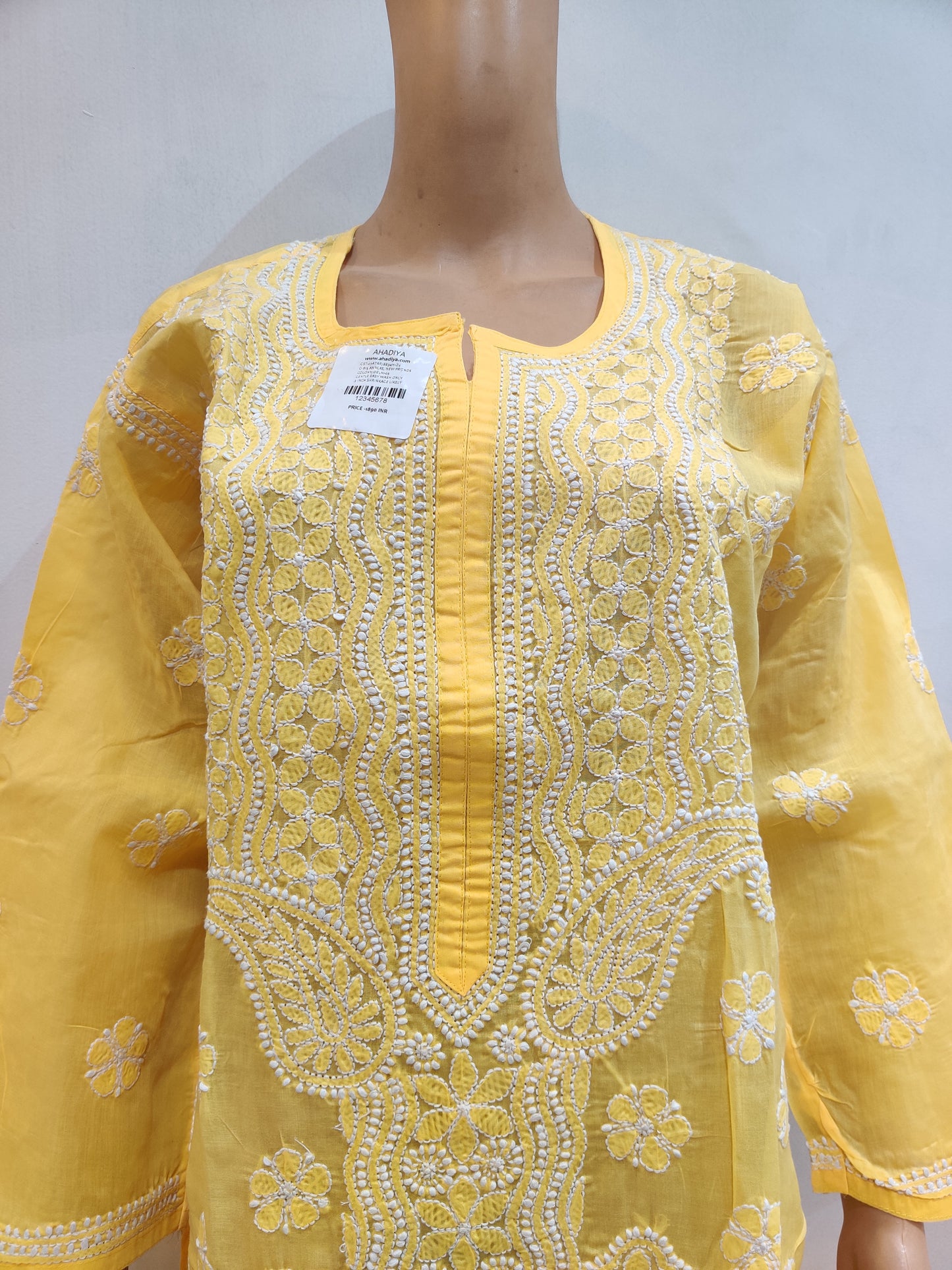 Brachyscome Kurti