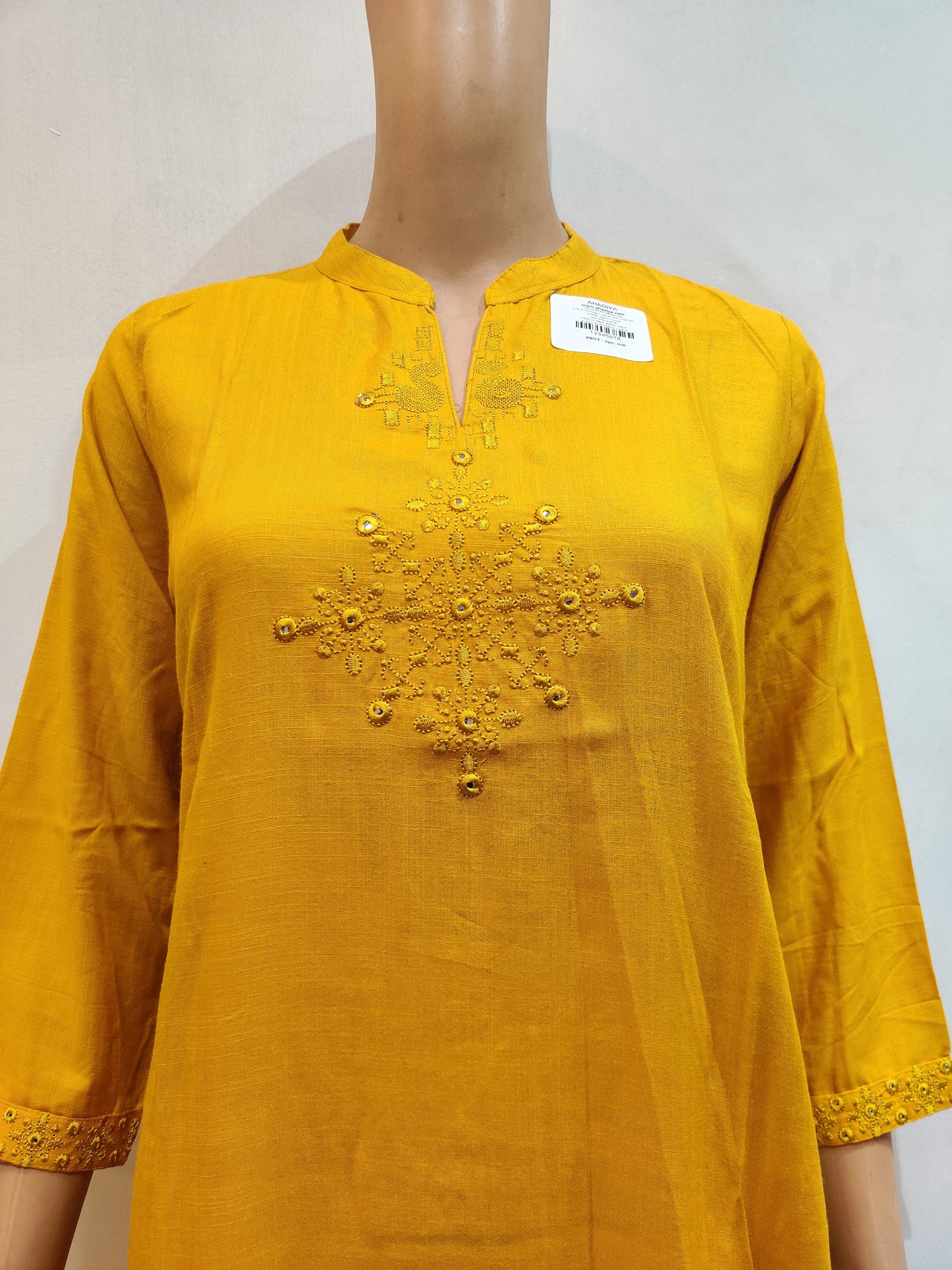 Physostegia Kurti