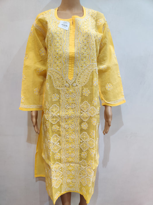 Brachyscome Kurti